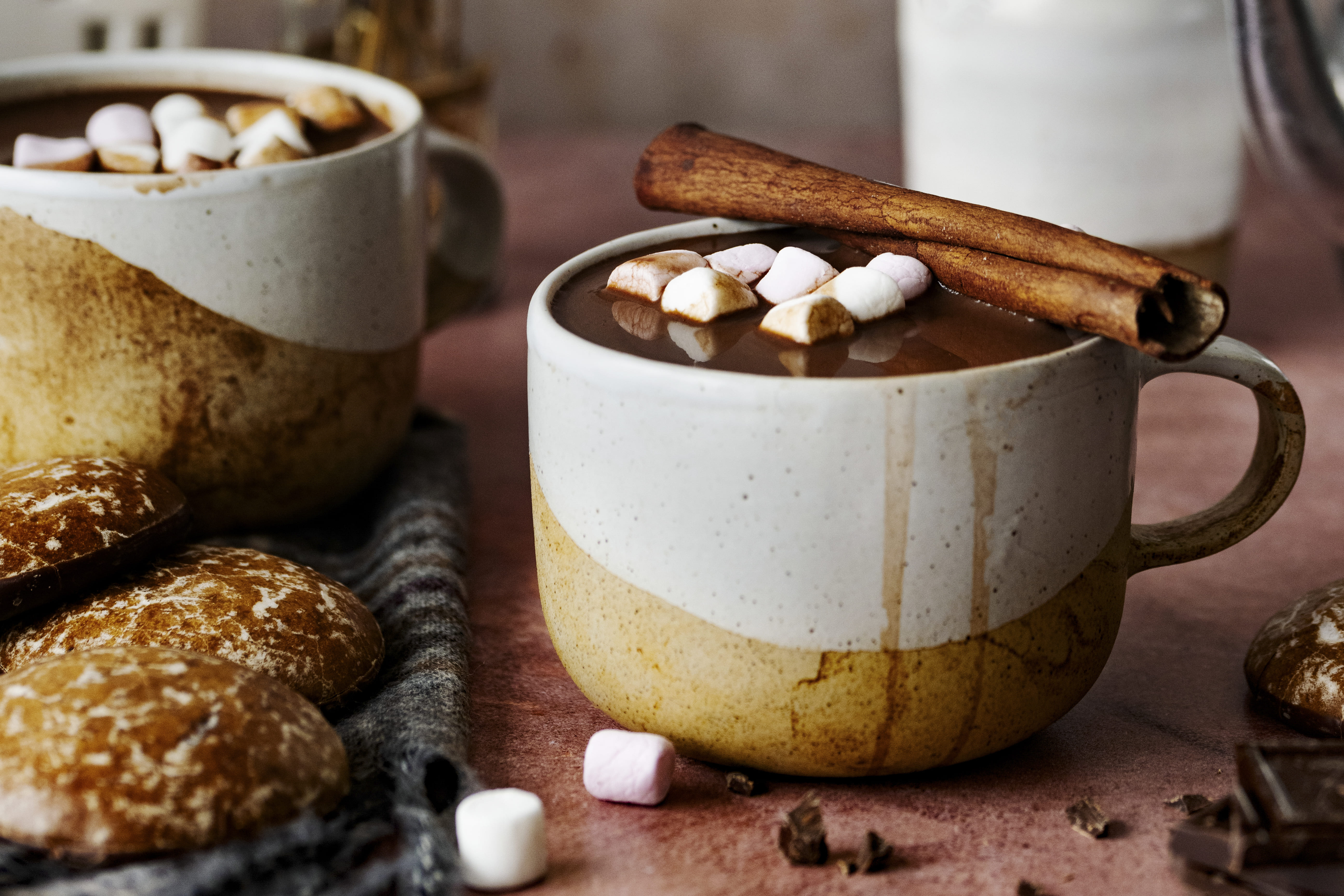 Hot chocolate with marshmallows and cinnamon sticks on the side